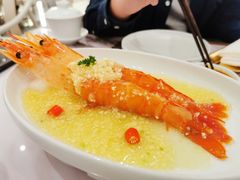 生腌大红虾-喜鼎海胆水饺(平安金融中心店)