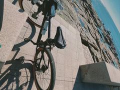 -道路口单车爱瓦士dahon大行