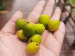 -大平台龙居瀑布旅游区