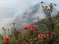 -萍乡武功山风景名胜区