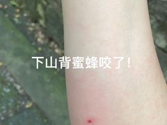 -大蜀山国家森林公园