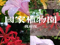 -国家植物园