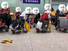 -日上免税行(浦东机场五店)