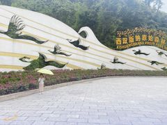 -西双版纳原始森林公园