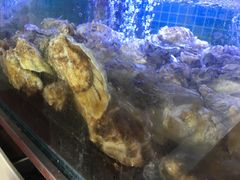 -鼓歌海鲜舫·手抓海鲜(大学城店)