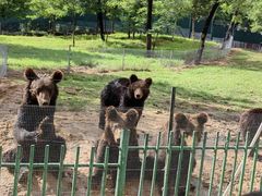 -秦皇岛野生动物园
