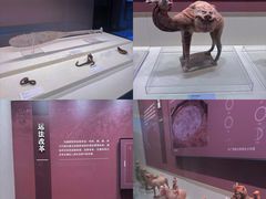 -隋唐大运河文化博物馆