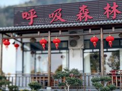 -呼吸森林·生态农庄农家乐私房菜