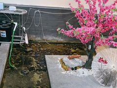-秦汉胡同古筝围棋国学书院(罗湖分馆)
