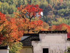 -塔川景区