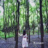 在重庆主城也能拍出的法式植物迷宫🌳