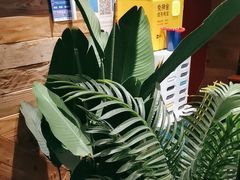 -西塘人家•黑金冠本地好店
