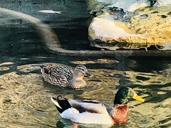 -北京市海淀外国语实验学校