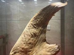 -新加坡泰国村酒楼(五角场店)