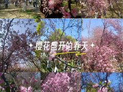 -昆明动物园
