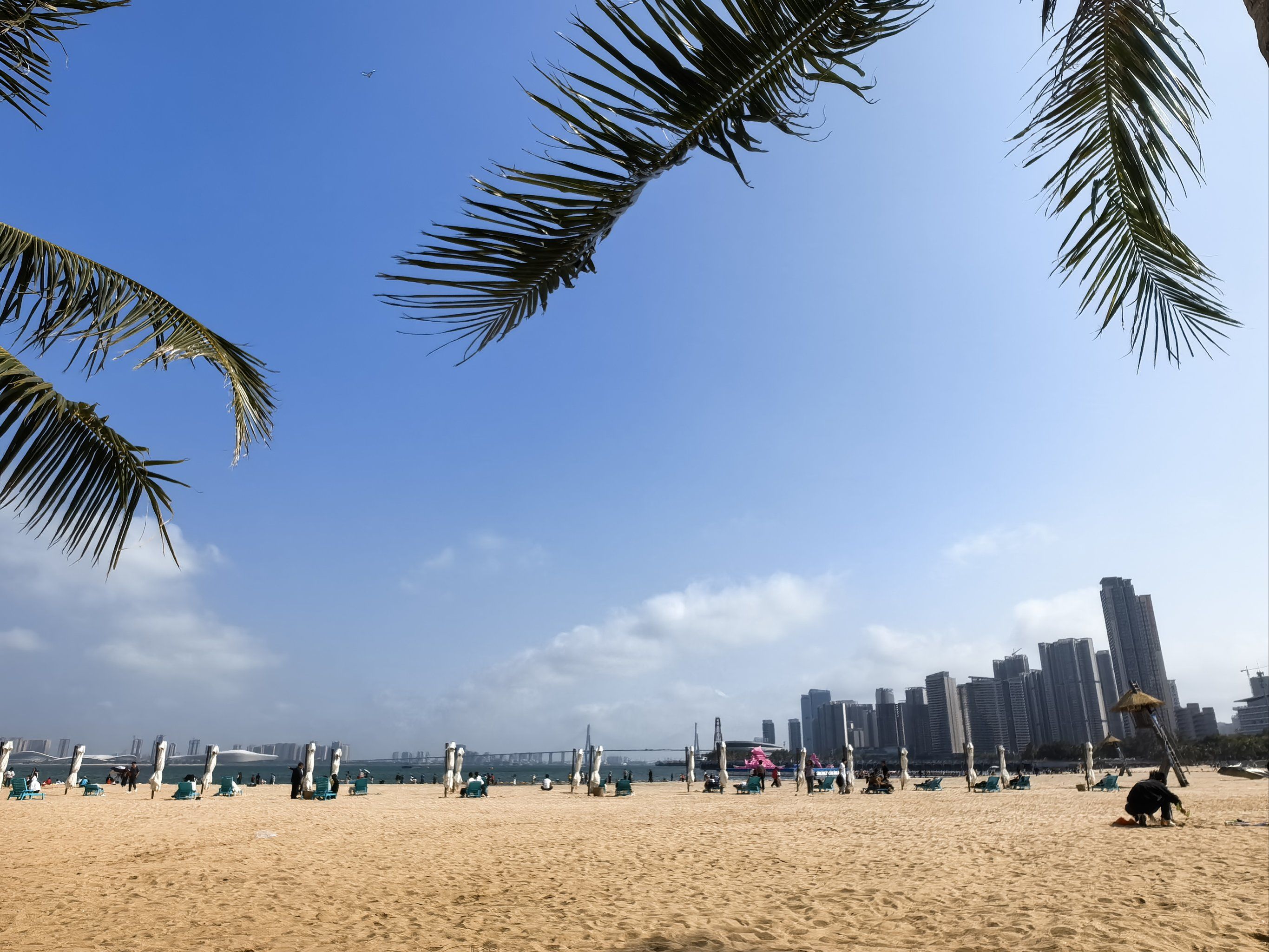 阳光!沙滩!海浪!椰子林!