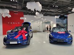 -TESLA 特斯拉(深圳观澜特斯拉直营钣喷中心)
