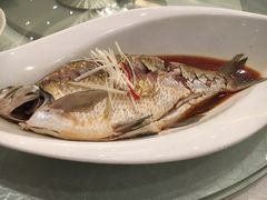 清蒸武昌鱼-亢龙太子酒轩(东湖店)