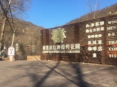 -Local泰莲庭(虹鳟鱼店)