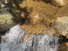 -姑婆山旅游区