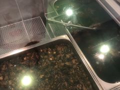 -鸿运兔·手撕烤兔(天府广场店)