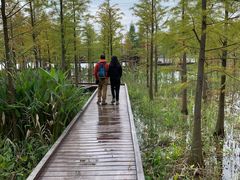 -昆山城市生态森林公园