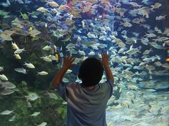 -成都浩海立方海洋公园