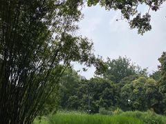 -成都市活水公园