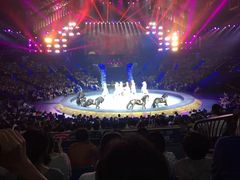 -珠海横琴长隆《卡卡虎奇遇记》