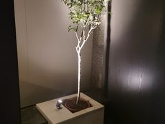 -深圳滨河时代ICON LAB艾垦酒店