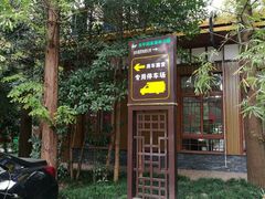 -崇明东平国家森林公园烧烤房车露营地