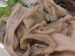 -朱氏胖子烂火锅(洪崖洞店)