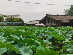 -莫催咖啡