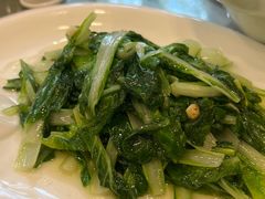 蒜蓉炒小白菜-醉云喃