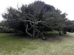 -鹅銮鼻公园
