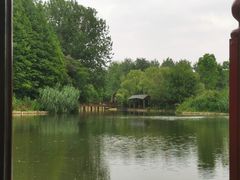 -溱湖国家湿地公园