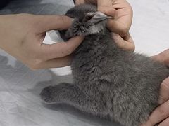 -派特宠物医院(圆融广场店)