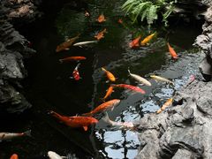 -广州白天鹅宾馆