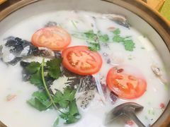 -全乐鱼馆·淳牌有机鱼直营店