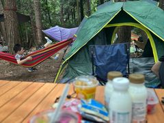 -铁山坪森林公园