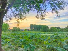 -北京拉斐特城堡酒店