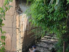 -杨家堂村