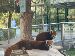 -水上乐园·欢乐世界