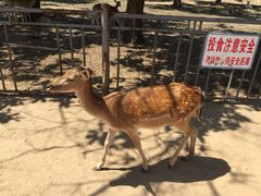 -西安秦岭野生动物园