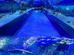 -海合安武汉极地海洋公园
