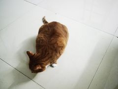 -Best U照相馆证件照·外拍(五角场店)