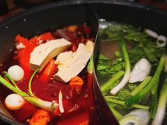 -赵美丽·重庆社区火锅·直营店(火车东站·中豪国际店)