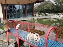 -扬州瘦西湖温泉