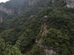 -龙湾潭国家森林公园