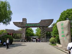 -溱湖国家湿地公园